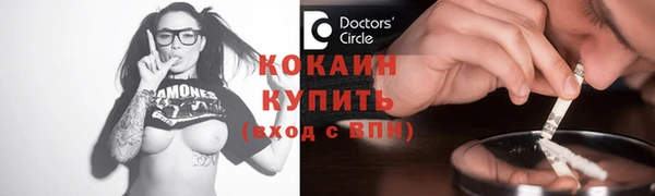 крисы Аркадак