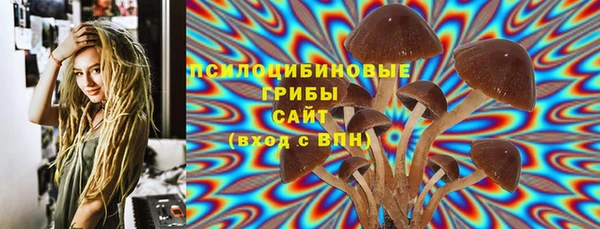 прущая мука Армянск