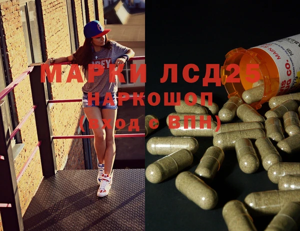 крисы Аркадак