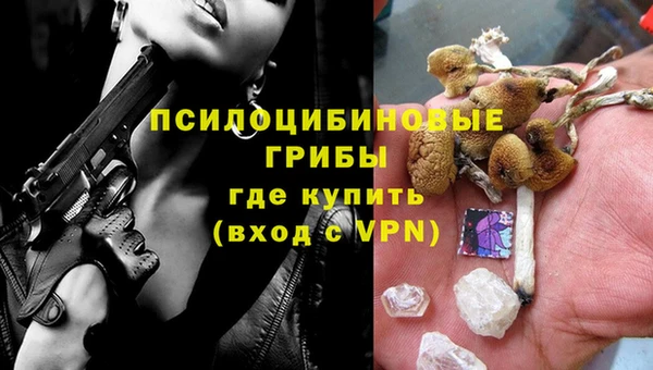 прущая мука Арсеньев