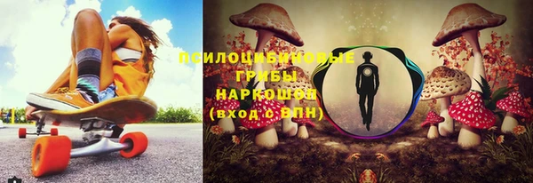 прущая мука Арсеньев