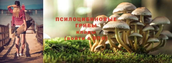 прущая мука Армянск