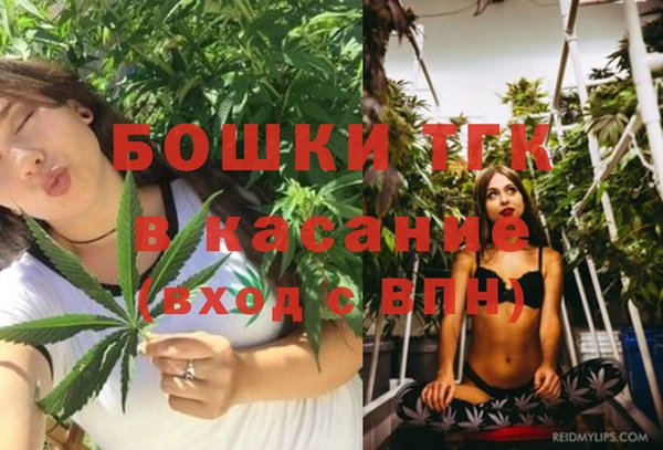 крисы Аркадак