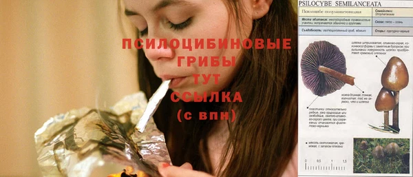 прущая мука Армянск